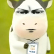 百度用户UID3516965021 神州布衣丶 风化猫😺 的头像