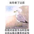 百度用户UID4118098841 焚书折剑去 洛伦佐·霍尔默斯 的头像