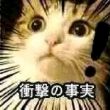 百度用户UID559783790 兄弟连23584 null 的头像