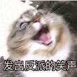 百度用户UID3565974074 mmm_lll_lrl 我推有点儿糊- 的头像