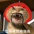 百度用户UID5397728531 null 安👈😡👉 的头像
