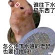 百度用户UID1297513271 可wo在劫难逃 👦带带 的头像