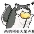 百度用户UID1581683063 漩共崎渚 科莫多土著蜥☜ 的头像
