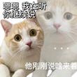 百度用户UID3562472088 kingluopo null 的头像