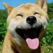 百度用户UID214338345 wbshhh null 的头像