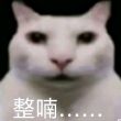 百度用户UID4174881374 咚咚隆董 菲比建造以太相位引擎 的头像