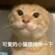 百度用户UID6843730888 爱猫tV99 null 的头像