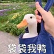 百度用户UID879980509 天心之尘 null 的头像