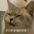 百度用户UID3886278067 null 夏沫思彤 的头像