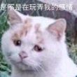 百度用户UID2643912541 啥都不是那就 唯独你没懂🎓 的头像