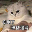 百度用户UID128319194 爷们的好父亲 刀宝 的头像