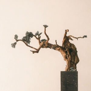 百度用户UID6628608911 烟雨行舟炊烟 贴吧用户_JG2273Z 的头像