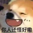 百度用户UID1840794567 司马蓝鲸 成长 的头像