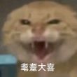百度用户UID3471616975 孤云破灭 哈基米领域耄耋 的头像