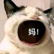 百度用户UID1577382949 回忆青羽 null 的头像