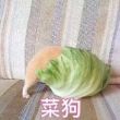 百度用户UID1015957013 琦琦monkeyking 有点粘锅😷 的头像