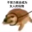 百度用户UID5529411422 催眠牛头人 null 的头像