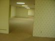 百度用户UID5198909887 SXPBR000 SXP-BR-000 的头像
