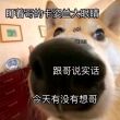 百度用户UID6091100456 kea1cat null 的头像