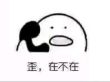 百度用户UID380470642 永雏星瞳 礼堂芝士雪豹 的头像