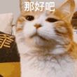 百度用户UID2239756134 null 💫秒殺 的头像