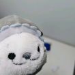 百度用户UID6622604260 114米缸米缸 豹豹缸 的头像