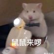 百度用户UID4289245978 鼠鼠喜欢neinei 😳😳肥鯮😍😍 的头像
