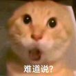 百度用户UID1961045549 null 贴吧用户_Q89J12P 的头像
