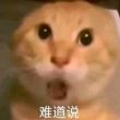 百度用户UID6318384494 萬事階虛 Covor 的头像