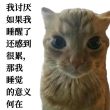 百度用户UID3740836245 长白雪诺 贴吧用户_5ZZ2AUV 的头像