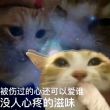 百度用户UID121279079 人型大叔正太心 null 的头像