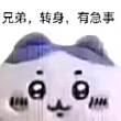 百度用户UID5179738225 我time直呼666 球人不如湫己 的头像