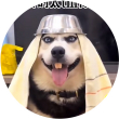 百度用户UID2355584388 xzz113804686 我是小谁谁 的头像