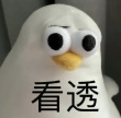 百度用户UID1421284242 MisikaMiko 柴柴Cc🍒 的头像