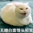 百度用户UID2077605684 澌谪 澌谪A 的头像