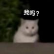 百度用户UID5722178181 初阳Q0 null 的头像