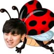 百度用户UID1276462987 二等兵杰克艾 七性朴🐛杰克艾 的头像