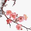 百度用户UID3684236660 青婉梦虹眠 null 的头像