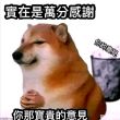 百度用户UID6380934977 墨不发 聆听尖锐的声音 的头像