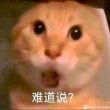 百度用户UID3888157338 予沐丶 13猫头 的头像
