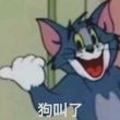 百度用户UID6476863142 null tom@× 的头像