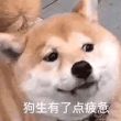百度用户UID834686684 涵墨烯 Alien枣🐶 的头像