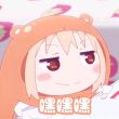 百度用户UID903632955 花舞漫轩 null 的头像