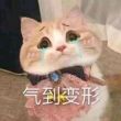 百度用户UID1876464436 null 贴吧用户_QeD2aKX 的头像