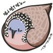 百度用户UID929748794 高高正品旗舰店 藕粉桂花甜糕 的头像