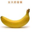百度用户UID1333109280 null 贴吧用户_QRe1A2S 的头像
