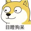百度用户UID1343713055 星空中的一颗兴 一击脱离之蝙蝠侠现世 的头像