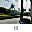 百度用户UID376443148 NeedYouNow2012 龙湾◎大宝 的头像