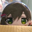 百度用户UID5225113482 贵看看v的 热爱和平の老咸鱼 的头像