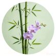 百度用户UID3280065665 我爱金花茶abc 嘉竹兰花 的头像